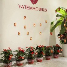 汕头市顺网科技有限公司（雅特茂旗舰店）